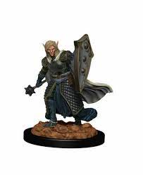 Female Elf Cleric